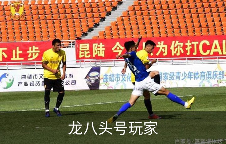 龙八头号玩家介绍
